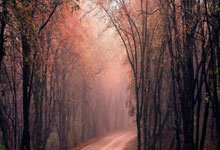 杭州亚残运会22日开幕，吉祥物“飞飞”与火炬手共同点火澎湃新闻.