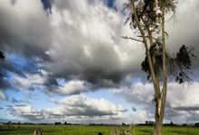 创新高，雷霆单赛季常规赛对东部球队28胜，创NBA历史新纪录.