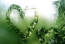 国乒新星爆发！向鹏3-0横扫埃及悍将，仁川赛强势开启新征程.