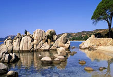 斯诺克最新世界排名！罗伯逊升至第11位，丁俊晖.